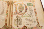 Psalter of King Louis, Berlin, Staatsbibliothek Preussischer Kulturbesitz, Ms. Theol. Lat. Fol. 58 − Photo 13