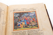 Merian Bible – New Testament, Stuttgart, Württembergische Landesbibliothek − Photo 17