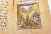 Sulwān al-Mutā' Fī 'Udwān al-Atbā', Private Collection − Photo 3