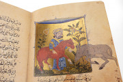 Sulwān al-Mutā' Fī 'Udwān al-Atbā', Private Collection − Photo 8