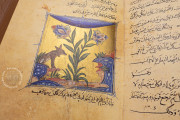Sulwān al-Mutā' Fī 'Udwān al-Atbā', Private Collection − Photo 11