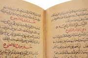 Sulwān al-Mutā' Fī 'Udwān al-Atbā', Private Collection − Photo 20