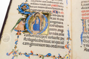 Codex of Saint George, Vatican City, Biblioteca Apostolica Vaticana, Arch.Cap.S.Pietro.C.129 − Photo 4