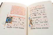 Codex of Saint George, Vatican City, Biblioteca Apostolica Vaticana, Arch.Cap.S.Pietro.C.129 − Photo 10