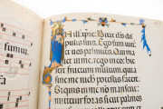 Codex of Saint George, Vatican City, Biblioteca Apostolica Vaticana, Arch.Cap.S.Pietro.C.129 − Photo 15