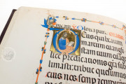 Codex of Saint George, Vatican City, Biblioteca Apostolica Vaticana, Arch.Cap.S.Pietro.C.129 − Photo 16