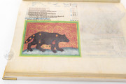 Astronomical Anthology for Wenceslas IV, Munich, Bayerische Staatsbibliothek, Clm 826 − Photo 17