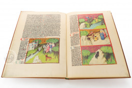 Liber De Natura Rerum – Codex Granatensis Facsimile Edition