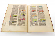 Liber De Natura Rerum – Codex Granatensis, Granada, Biblioteca de la Universidad de Granada, Codex Granatensis C-67 − Photo 5