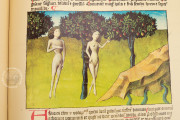Liber De Natura Rerum – Codex Granatensis, Granada, Biblioteca de la Universidad de Granada, Codex Granatensis C-67 − Photo 7