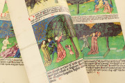 Liber De Natura Rerum – Codex Granatensis, Granada, Biblioteca de la Universidad de Granada, Codex Granatensis C-67 − Photo 9