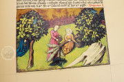 Liber De Natura Rerum – Codex Granatensis, Granada, Biblioteca de la Universidad de Granada, Codex Granatensis C-67 − Photo 14