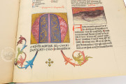 Liber De Natura Rerum – Codex Granatensis, Granada, Biblioteca de la Universidad de Granada, Codex Granatensis C-67 − Photo 15