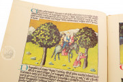 Liber De Natura Rerum – Codex Granatensis, Granada, Biblioteca de la Universidad de Granada, Codex Granatensis C-67 − Photo 16