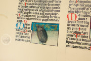 Liber De Natura Rerum – Codex Granatensis, Granada, Biblioteca de la Universidad de Granada, Codex Granatensis C-67 − Photo 17
