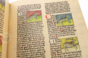Liber De Natura Rerum – Codex Granatensis, Granada, Biblioteca de la Universidad de Granada, Codex Granatensis C-67 − Photo 18