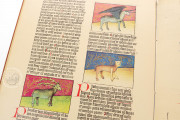 Liber De Natura Rerum – Codex Granatensis, Granada, Biblioteca de la Universidad de Granada, Codex Granatensis C-67 − Photo 20