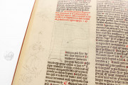 Liber De Natura Rerum – Codex Granatensis, Granada, Biblioteca de la Universidad de Granada, Codex Granatensis C-67 − Photo 22