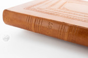 Liber De Natura Rerum – Codex Granatensis, Granada, Biblioteca de la Universidad de Granada, Codex Granatensis C-67 − Photo 24
