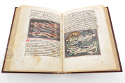 Livre de la Vigne nostre Seigneur, Oxford, Bodleian Library, MS. Douce 134 − Photo 5