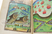 Livre de la Vigne nostre Seigneur, Oxford, Bodleian Library, MS. Douce 134 − Photo 16