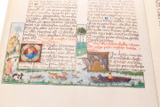 Chronicle of King John I, Madrid, Biblioteca Nacional de España, MS Vit. 25-8 − Photo 11