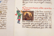 Chronicle of King John I, Madrid, Biblioteca Nacional de España, MS Vit. 25-8 − Photo 22