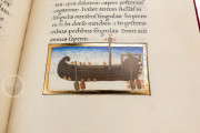 Vatican Aratea, Vatican City, Biblioteca Apostolica Vaticana, MS Barb. lat. 76 − Photo 27