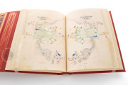Ulugh Beg's Book of the Constellations, Paris, Bibliothèque nationale de France, MS Arabe 5036 − Photo 6