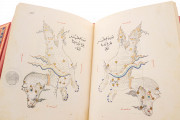 Ulugh Beg's Book of the Constellations, Paris, Bibliothèque nationale de France, MS Arabe 5036 − Photo 7