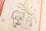 Ulugh Beg's Book of the Constellations, Paris, Bibliothèque nationale de France, MS Arabe 5036 − Photo 18