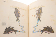 Ulugh Beg's Book of the Constellations, Paris, Bibliothèque nationale de France, MS Arabe 5036 − Photo 21