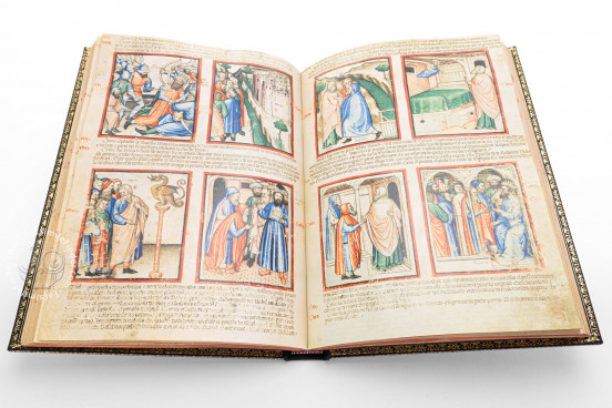Paduan Bible Picture Book, London, British Library, Add MS 15277 Rovigo, Biblioteca dell'Accademia dei Concordi, MS 212 − Photo 1