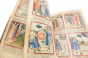 Paduan Bible Picture Book, London, British Library, Add MS 15277 Rovigo, Biblioteca dell'Accademia dei Concordi, MS 212 − Photo 4