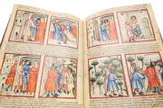 Paduan Bible Picture Book, London, British Library, Add MS 15277 Rovigo, Biblioteca dell'Accademia dei Concordi, MS 212 − Photo 6