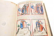 Paduan Bible Picture Book, London, British Library, Add MS 15277 Rovigo, Biblioteca dell'Accademia dei Concordi, MS 212 − Photo 7