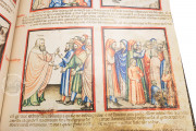 Paduan Bible Picture Book, London, British Library, Add MS 15277 Rovigo, Biblioteca dell'Accademia dei Concordi, MS 212 − Photo 8