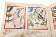 Paduan Bible Picture Book, London, British Library, MS Add. 15277
Rovigo, Biblioteca dell'Accademia dei Concordi, MS 212 − Photo 10