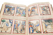 Paduan Bible Picture Book, London, British Library, Add MS 15277 Rovigo, Biblioteca dell'Accademia dei Concordi, MS 212 − Photo 11