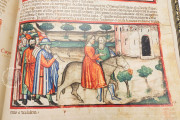 Paduan Bible Picture Book, London, British Library, MS Add. 15277
Rovigo, Biblioteca dell'Accademia dei Concordi, MS 212 − Photo 12