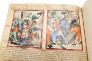 Paduan Bible Picture Book, London, British Library, MS Add. 15277
Rovigo, Biblioteca dell'Accademia dei Concordi, MS 212 − Photo 13