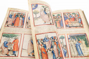 Paduan Bible Picture Book, London, British Library, MS Add. 15277
Rovigo, Biblioteca dell'Accademia dei Concordi, MS 212 − Photo 14