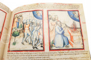 Paduan Bible Picture Book, London, British Library, MS Add. 15277
Rovigo, Biblioteca dell'Accademia dei Concordi, MS 212 − Photo 17