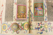 Wenceslas Bible, Vienna, Österreichische Nationalbibliothek, Codex Ser. nov. 2759-2764, Die Wenzelsbibel: Chronik II, Esra I und Esra II (Volume 7)