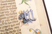 Wenceslas Bible, Vienna, Österreichische Nationalbibliothek, Codex Ser. nov. 2759-2764, Die Wenzelsbibel: Richter, Ruth und Samuel I (Volume 4)