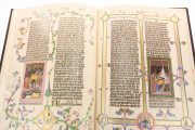 Wenceslas Bible, Vienna, Österreichische Nationalbibliothek, Codex Ser. nov. 2759-2764, Die Wenzelsbibel: Könige II und Chronik I (Volume 6)
