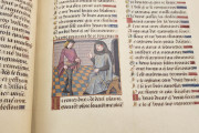 Douce Roman de la Rose, Oxford, Bodleian Library, MS Douce 195 − Photo 8