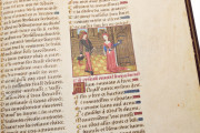 Douce Roman de la Rose, Oxford, Bodleian Library, MS Douce 195 − Photo 10