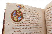 Egbert Psalter, Cividale del Friuli, Museo Archeologico Nazionale, MS CXXXVI − Photo 21