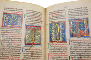 Medical and Herbal Miscellany, London, British Library, MS Sloane 1975 − Photo 11